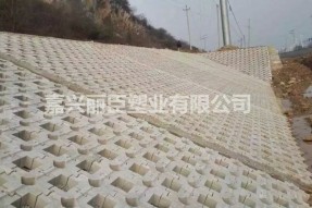 新型連鎖型水利護坡模具堤壩及河道施工案例 新型連鎖型水利護坡模具堤壩及河道施工案例