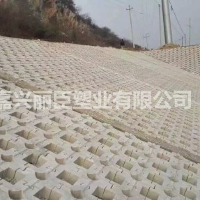 新型連鎖型水利護(hù)坡模具堤壩及河道施工案例 新型連鎖型水利護(hù)坡模具堤壩及河道施工案例