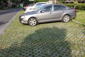 八字植草草坪磚塑料模具施工案例 八字植草草坪磚塑料模具施工案例