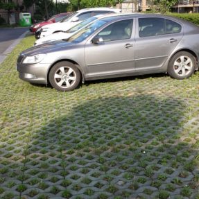 八字植草草坪磚塑料模具施工案例 八字植草草坪磚塑料模具施工案例