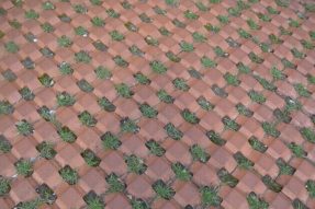 植草井字磚模具施工案例 植草井字磚模具施工案例