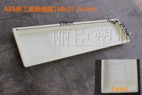 蚌工高鐵蓋板塑料模具 蚌工高鐵蓋板塑料模具