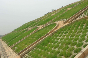 固坡護坡對六角護坡模具選擇要求 固坡護坡對六角護坡模具選擇要求