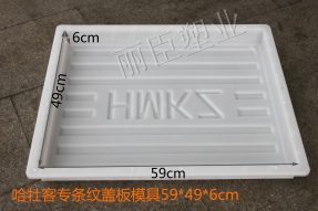 哈牡客專高速水泥蓋板塑料模具 哈牡客專高速水泥蓋板塑料模具