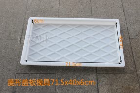 菱形蓋板模具 菱形蓋板模具